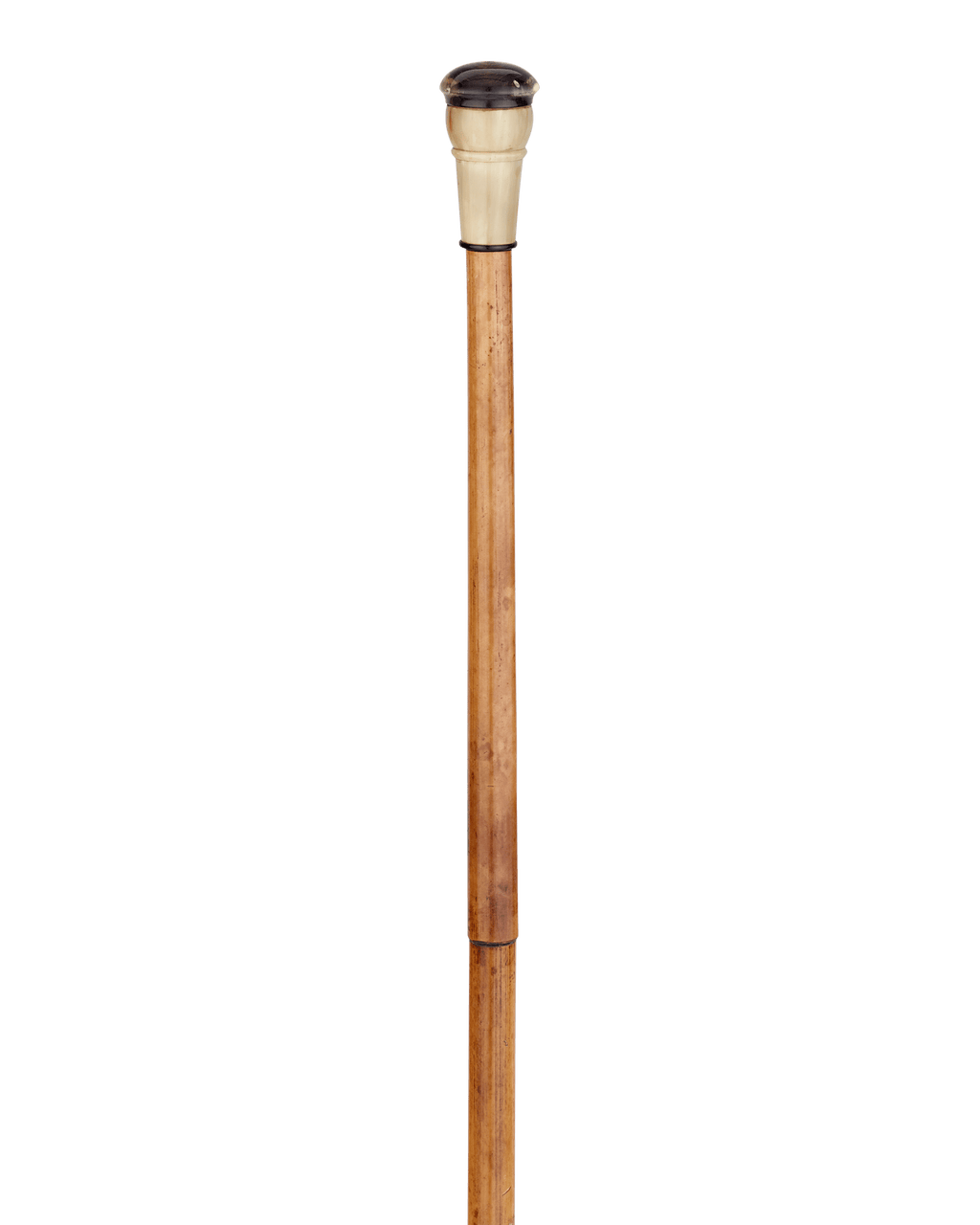 Blowgun Cane