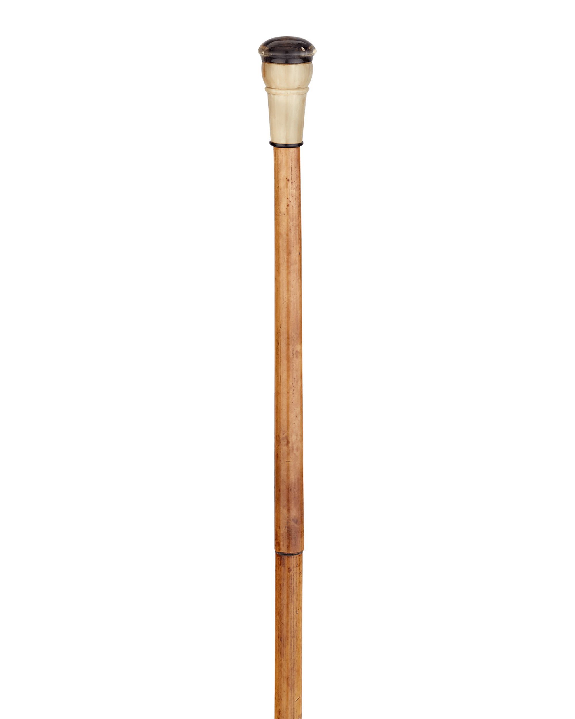 Blowgun Cane