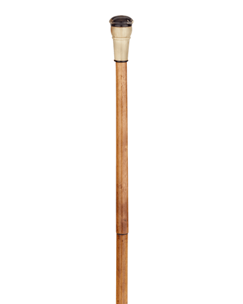 Blowgun Cane
