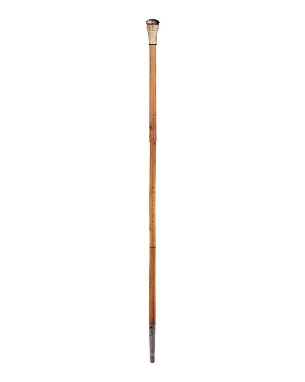 Blowgun Cane