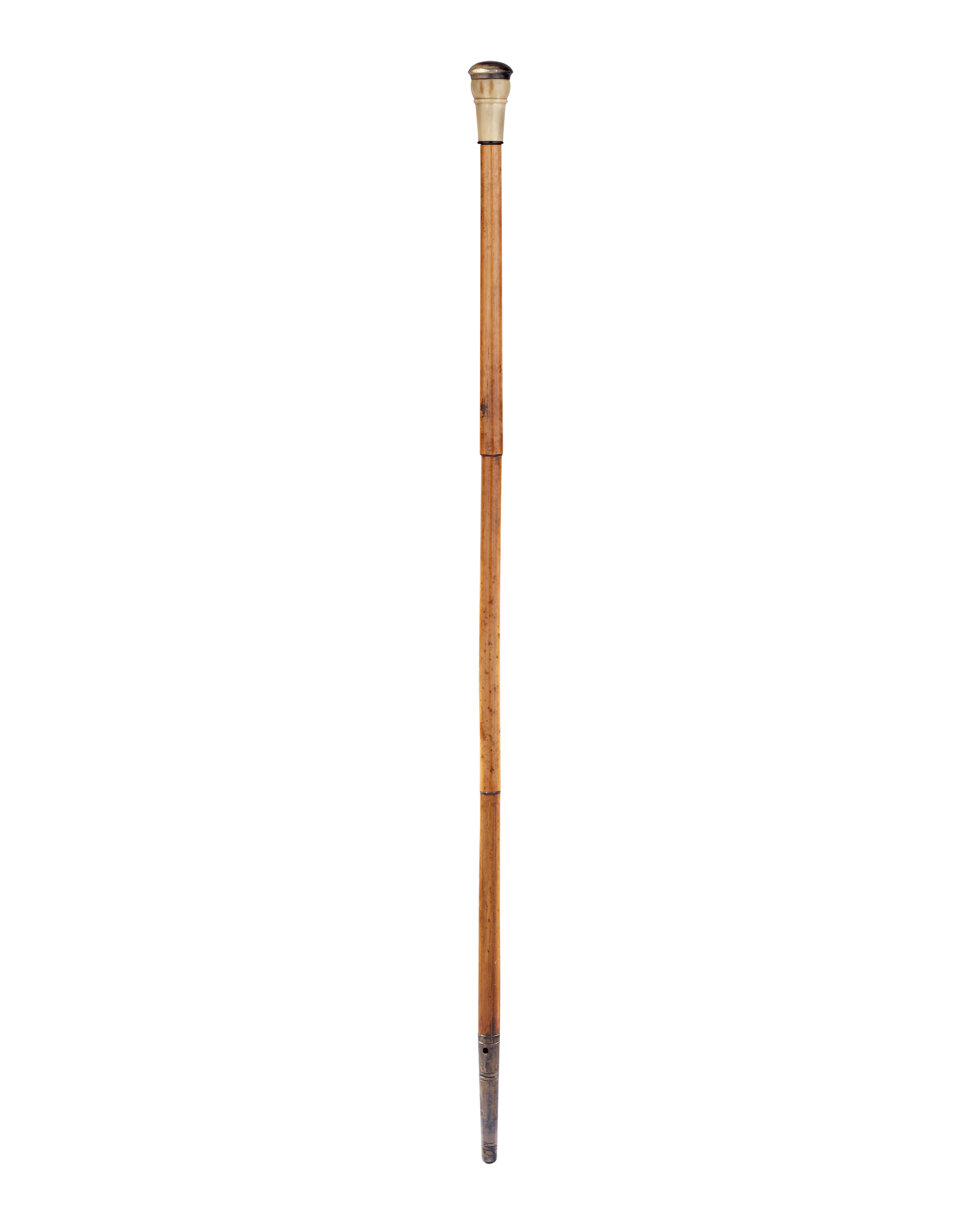 Blowgun Cane
