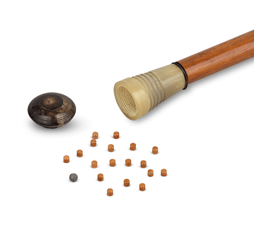 Blowgun System Cane