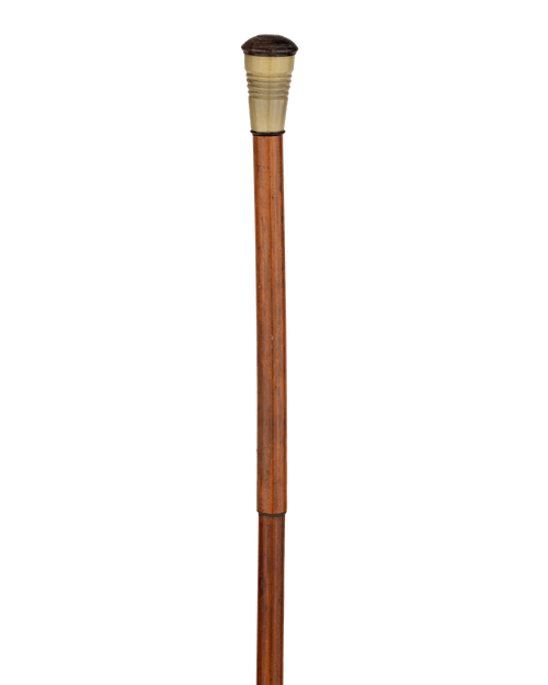 Blowgun System Cane