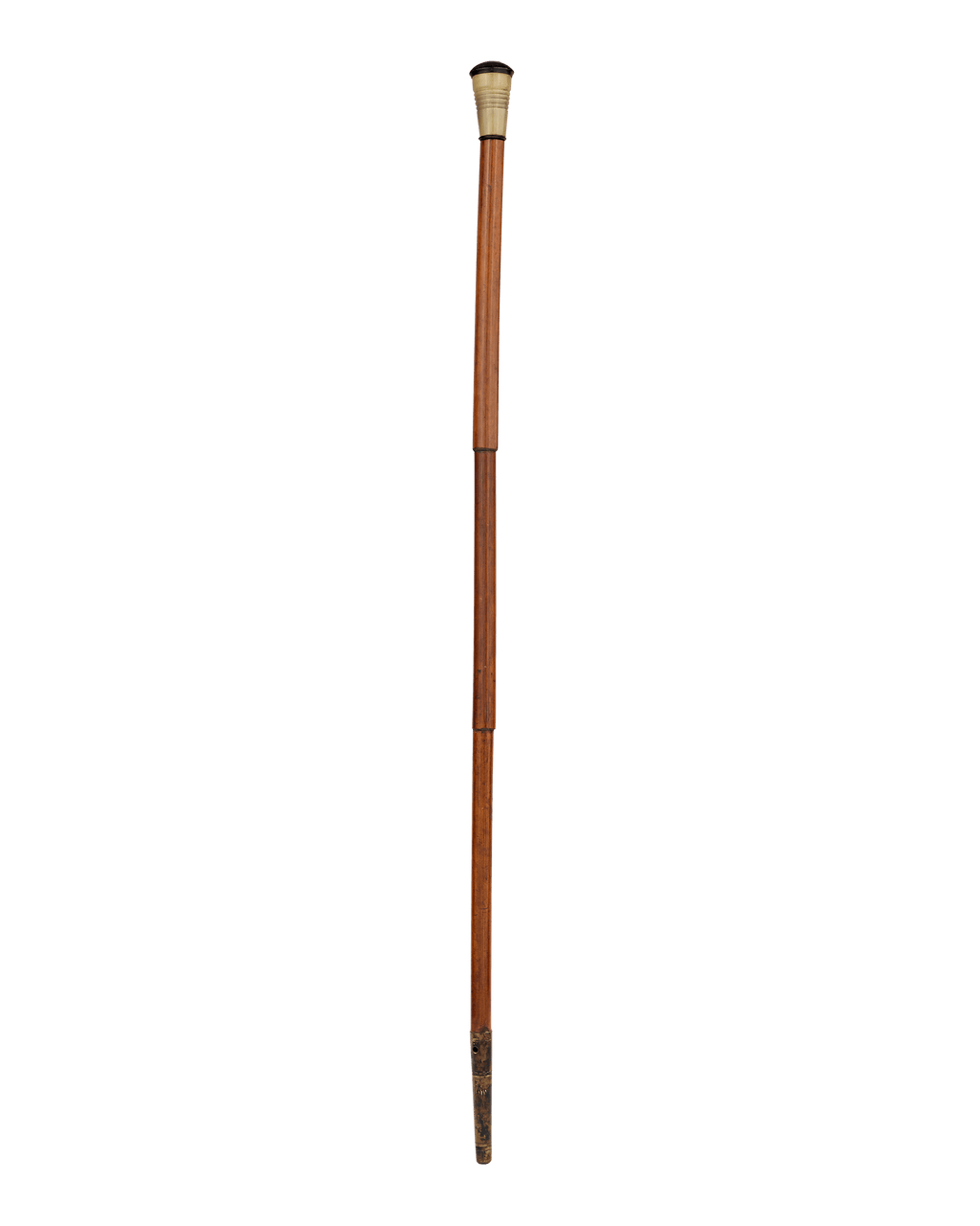 Blowgun System Cane