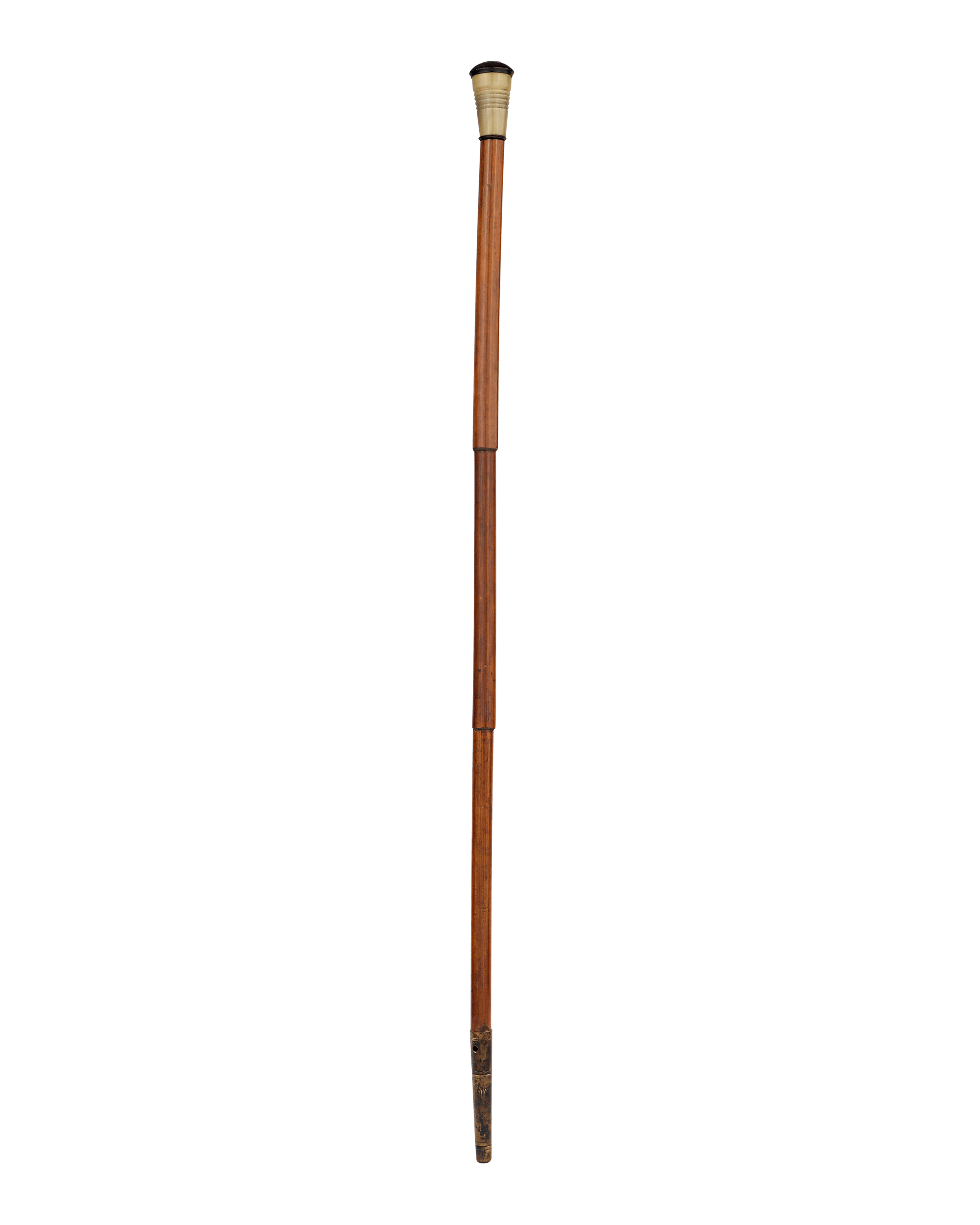Blowgun System Cane