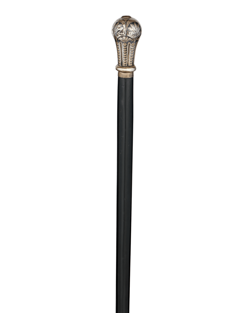 Professor's Pencil Gadget Cane