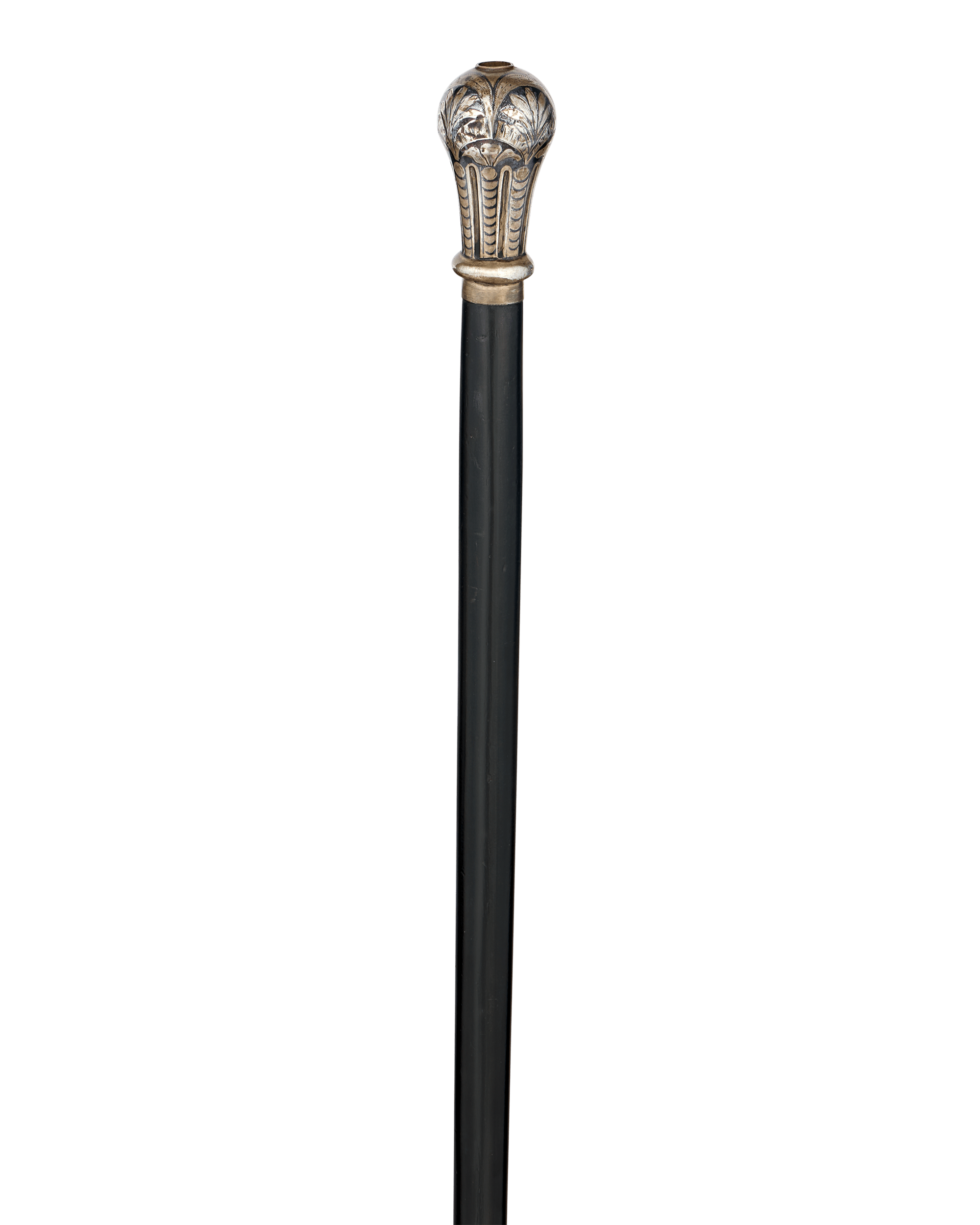 Professor's Pencil Gadget Cane