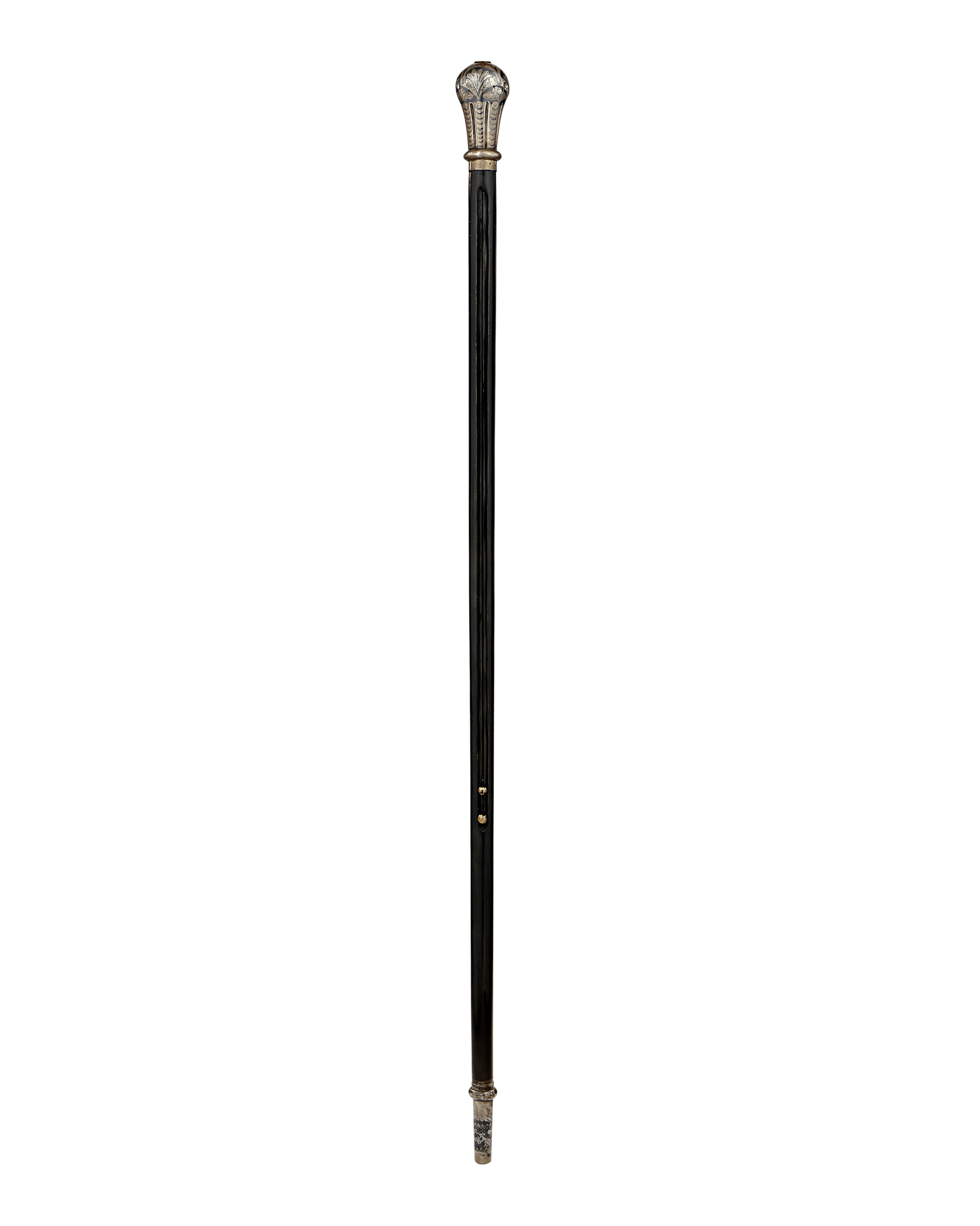Professor's Pencil Gadget Cane