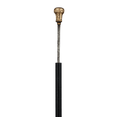 Gold-Handled Sword Cane
