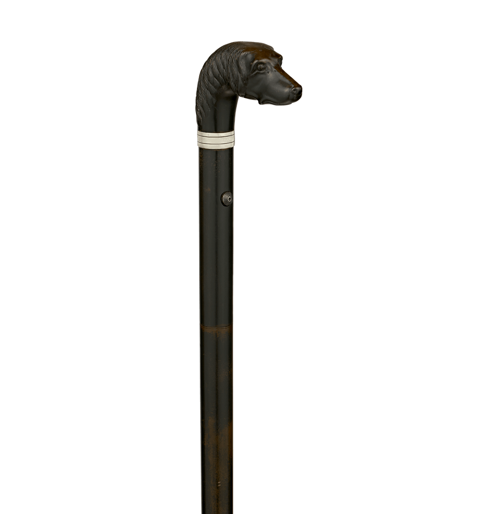 Remington Gun Cane