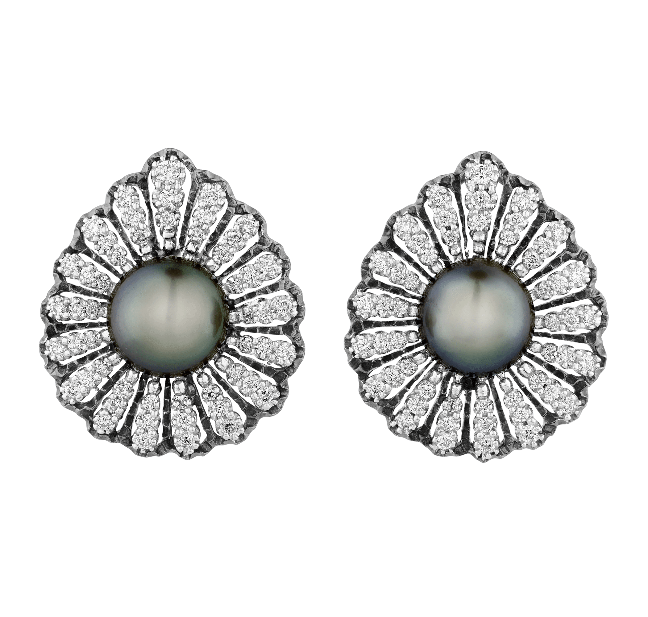 Tahitian Pearl Earrings