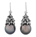 Tahitian Pearl Earrings