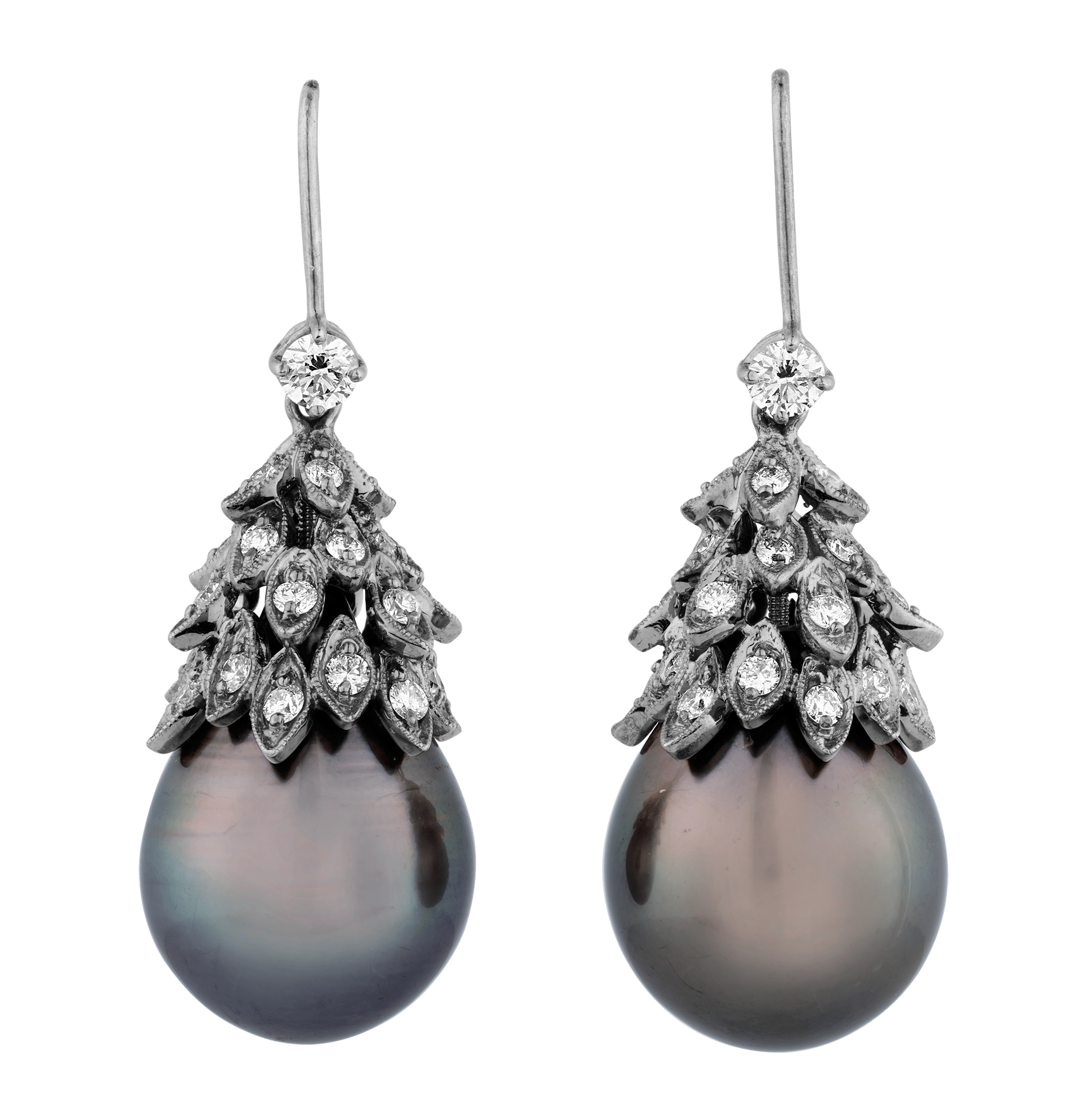 Tahitian Pearl Earrings