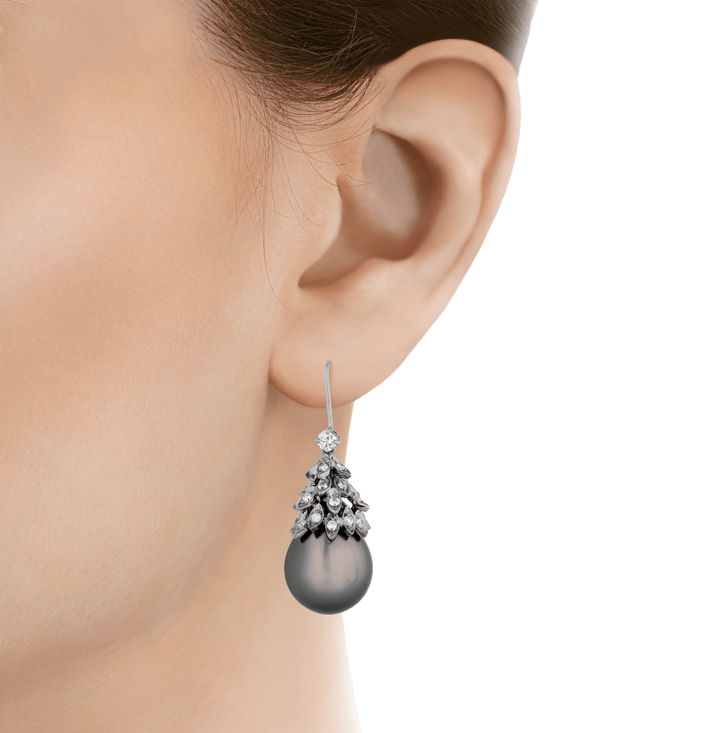 Tahitian Pearl Earrings