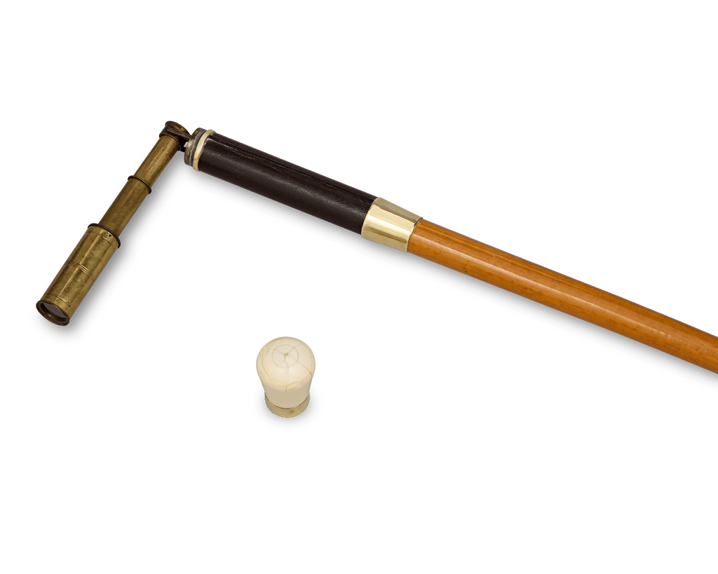 Telescope Cane