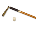 Telescope Cane