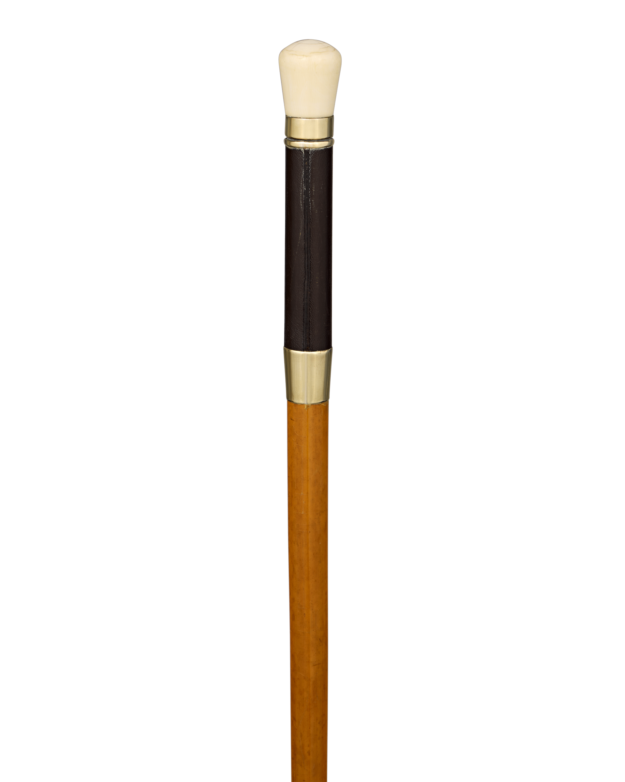 Telescope Cane