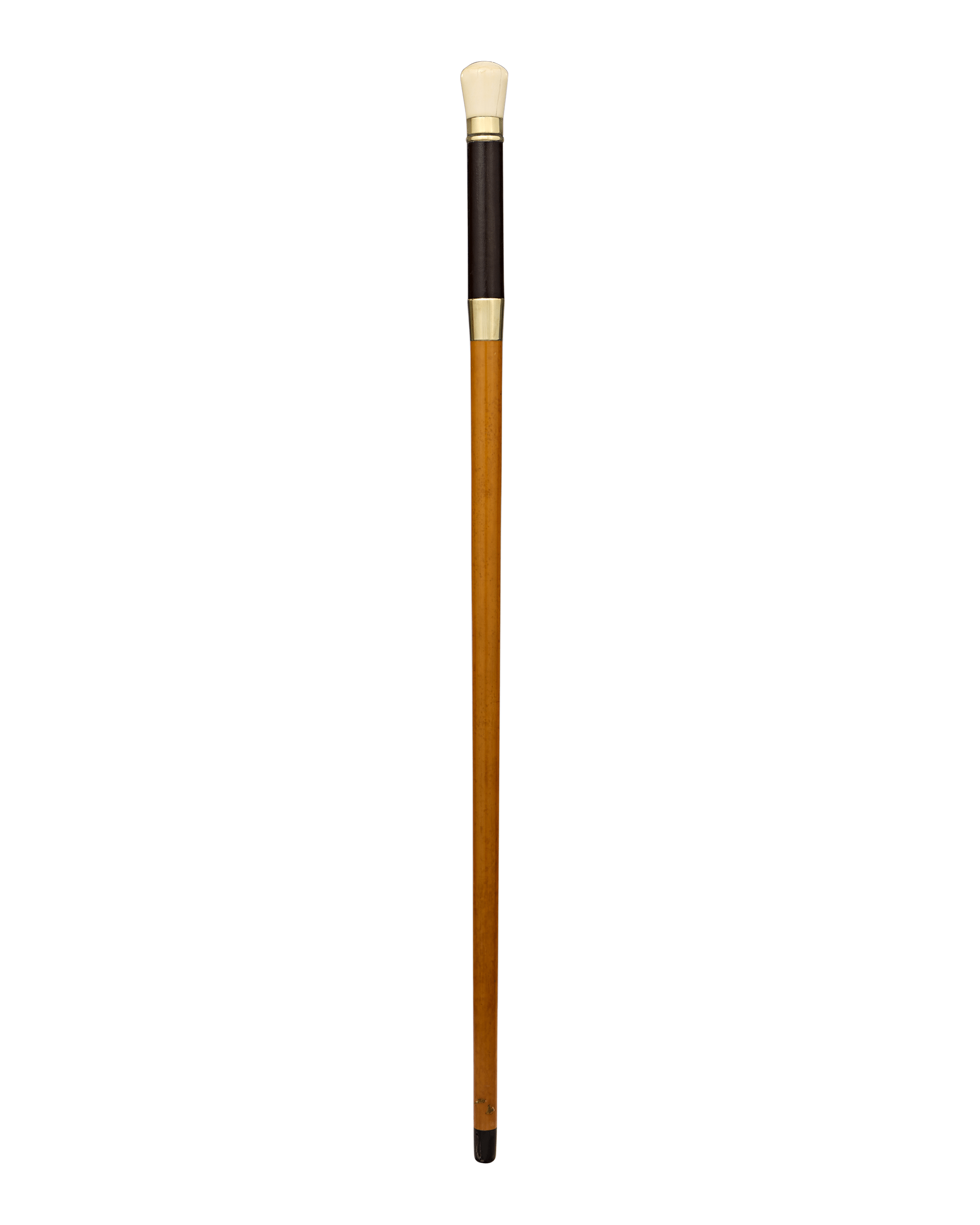 Telescope Cane