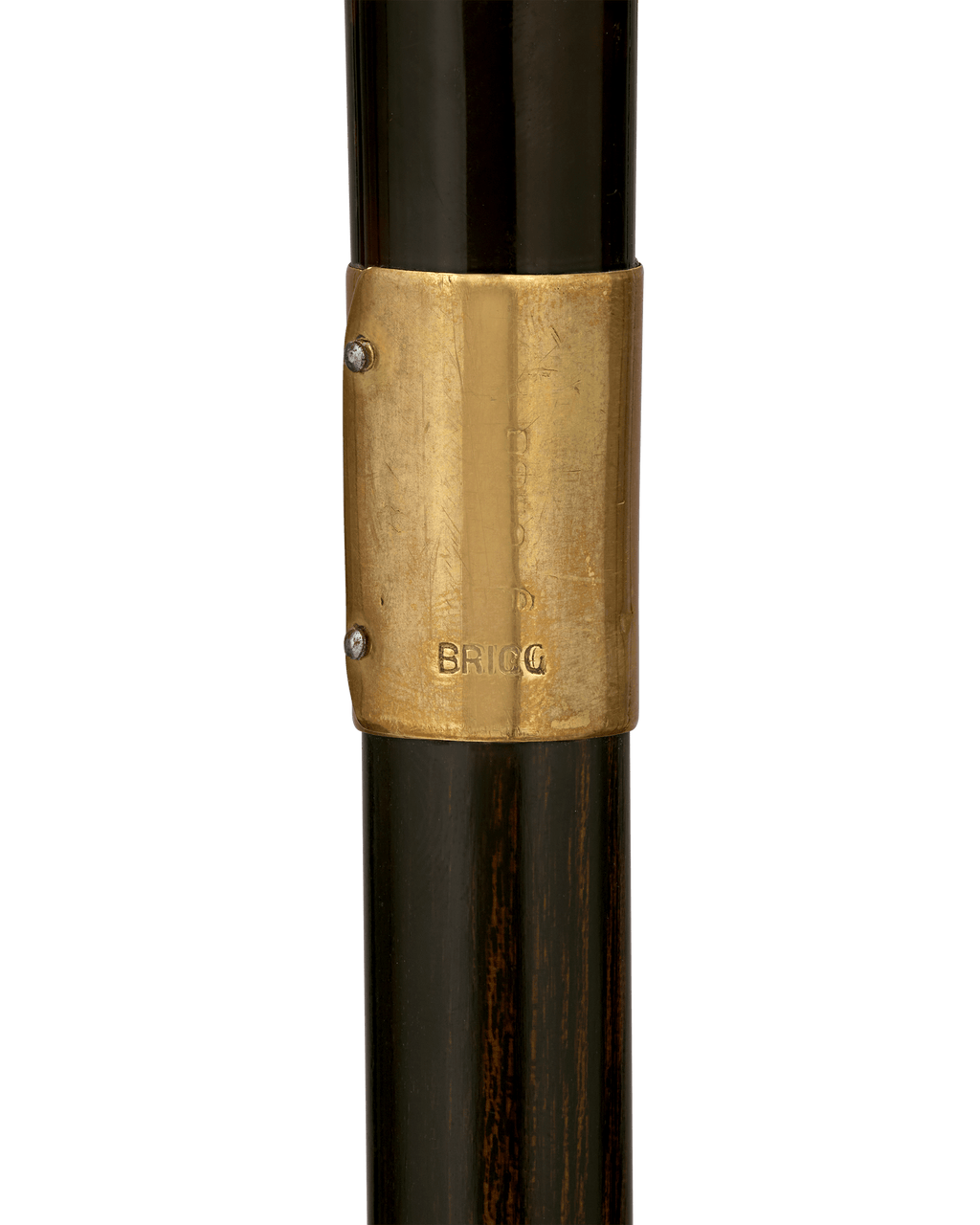 Carved Tortoiseshell Cane