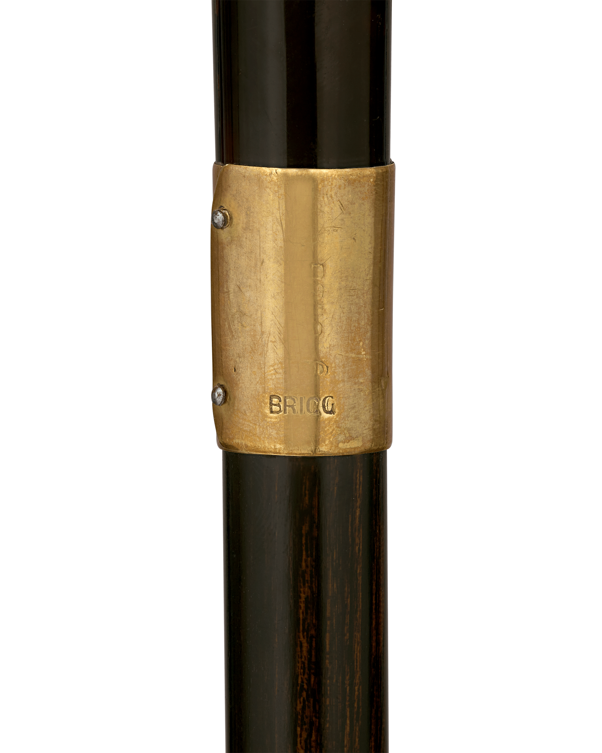 Carved Tortoiseshell Cane