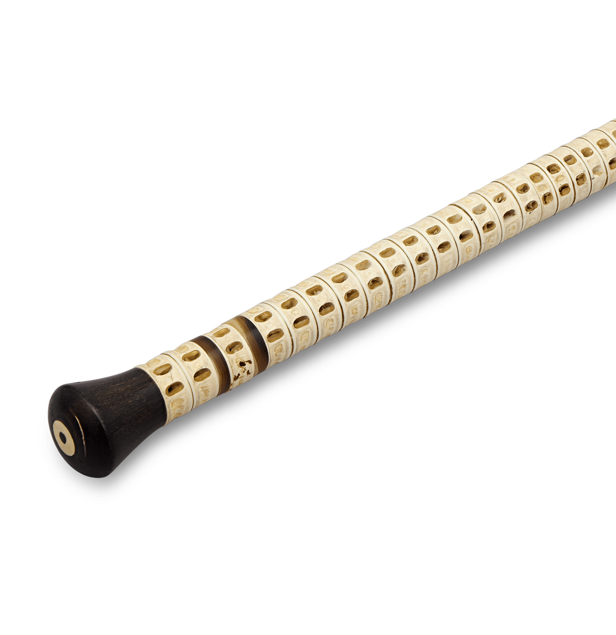 Shark Vertebrae Cane