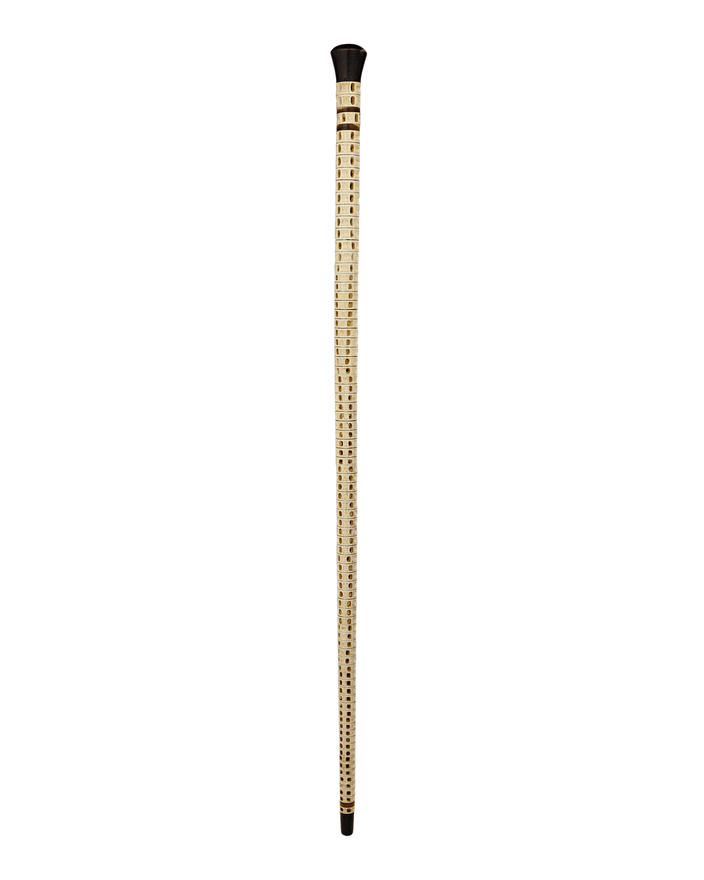 Shark Vertebrae Cane