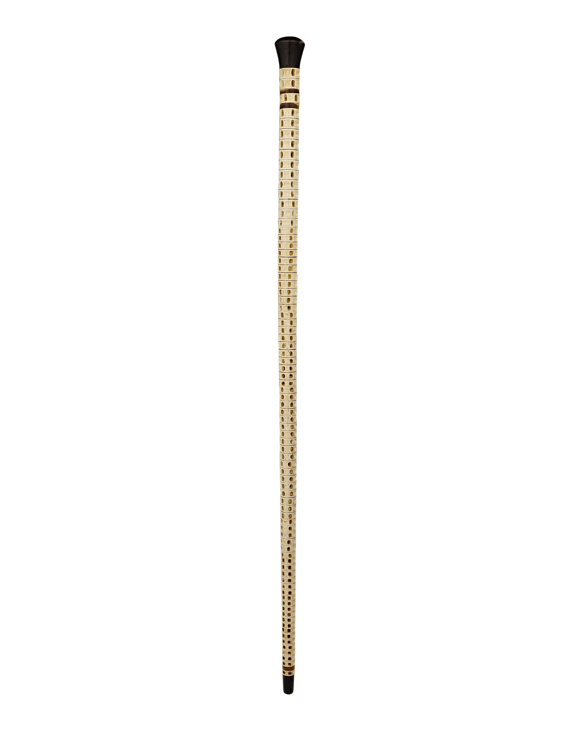Shark Vertebrae Cane