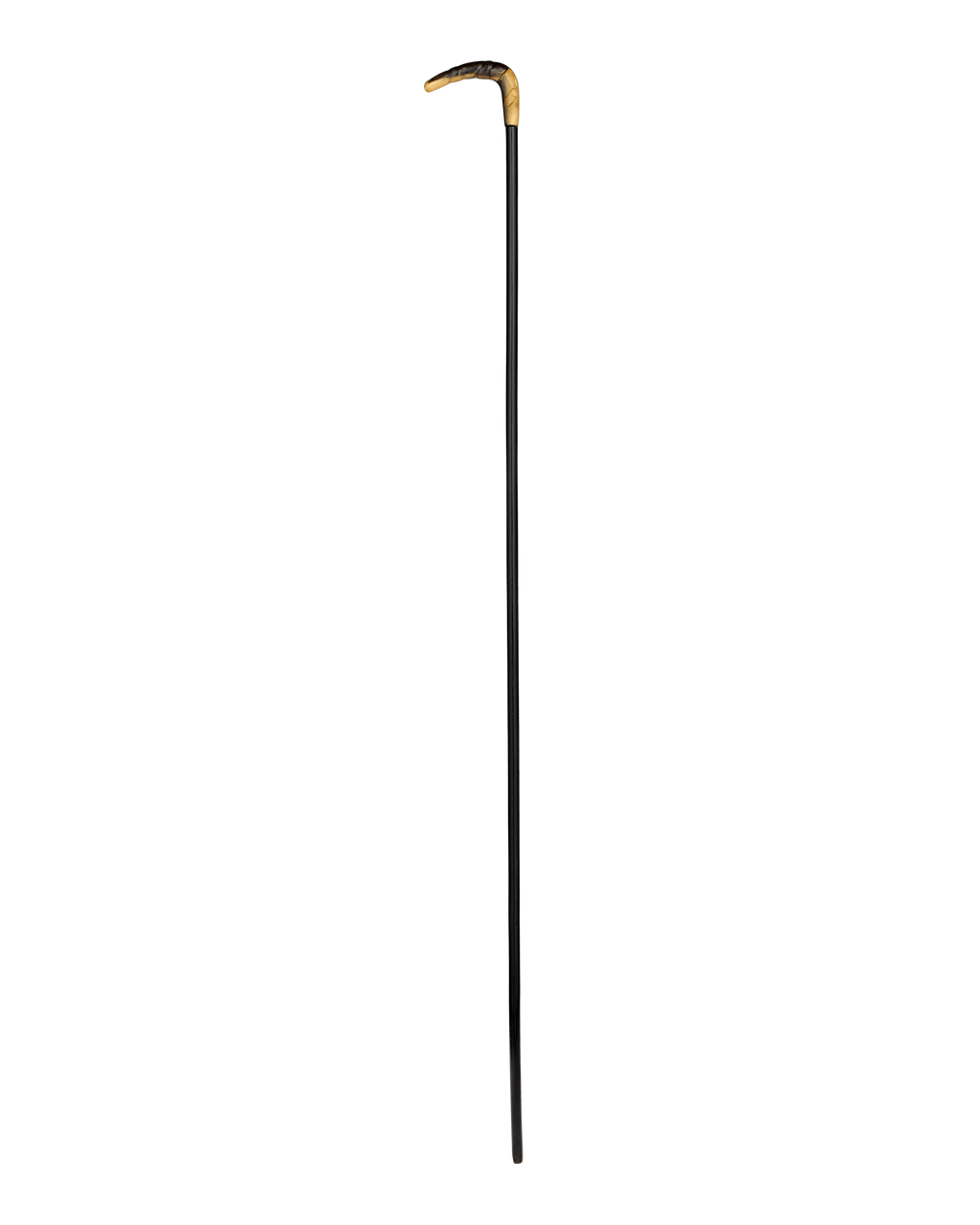 Horn Handle Walking Stick