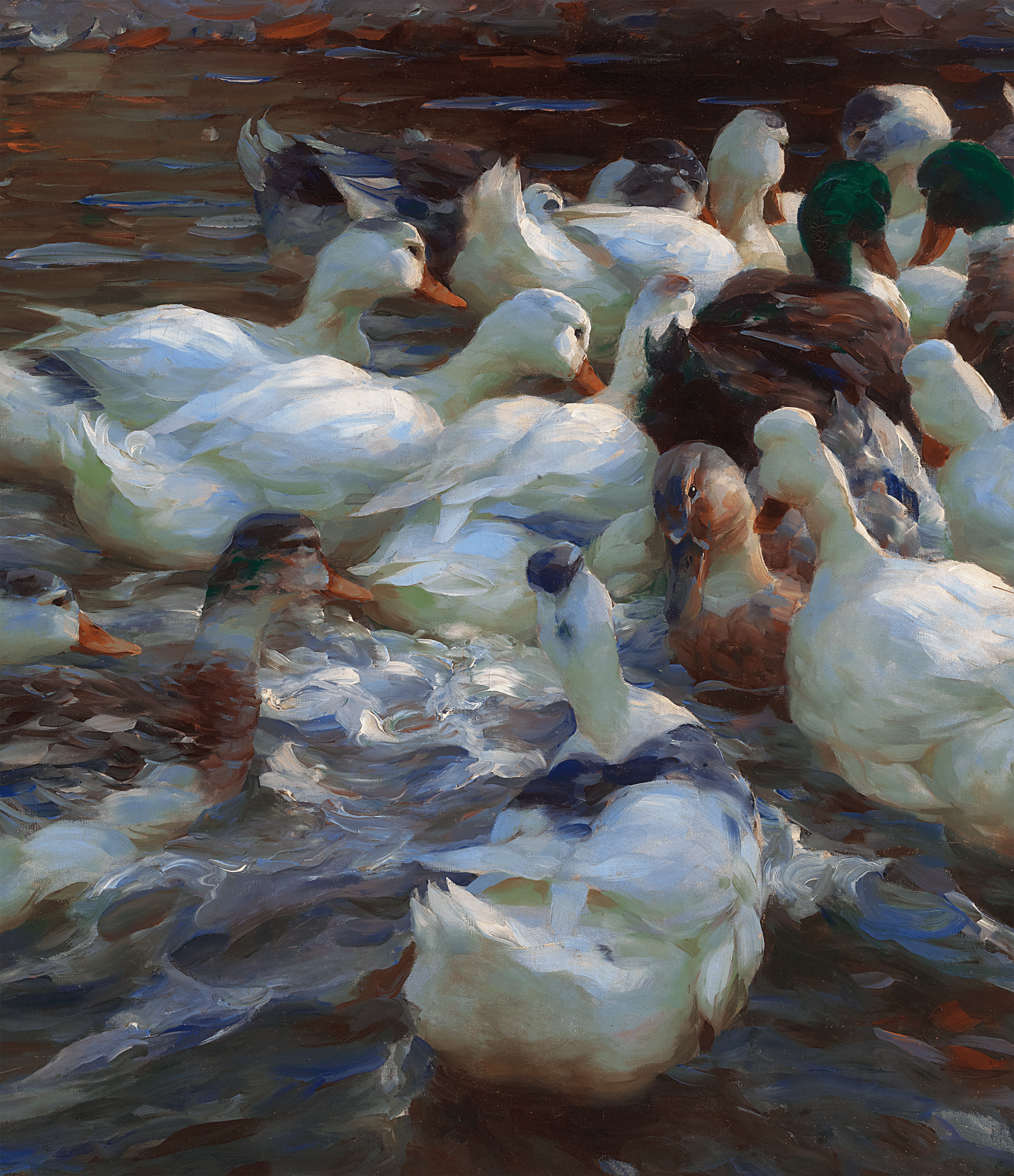 Sixteen Ducks in the Evening by Alexander Koester