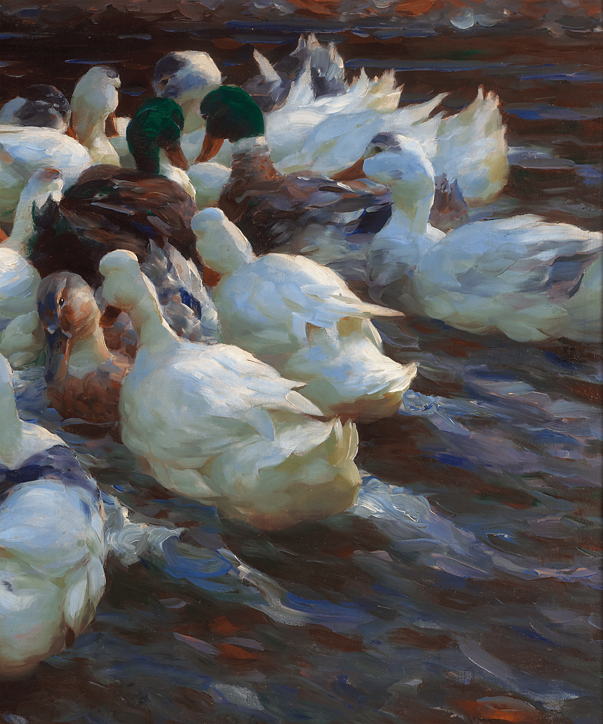 Sixteen Ducks in the Evening by Alexander Koester