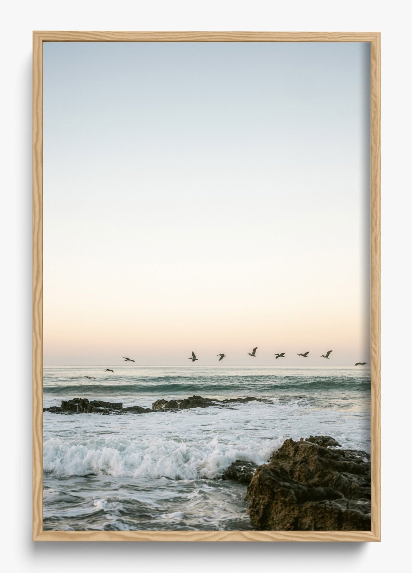 Santa Teresa Mornings