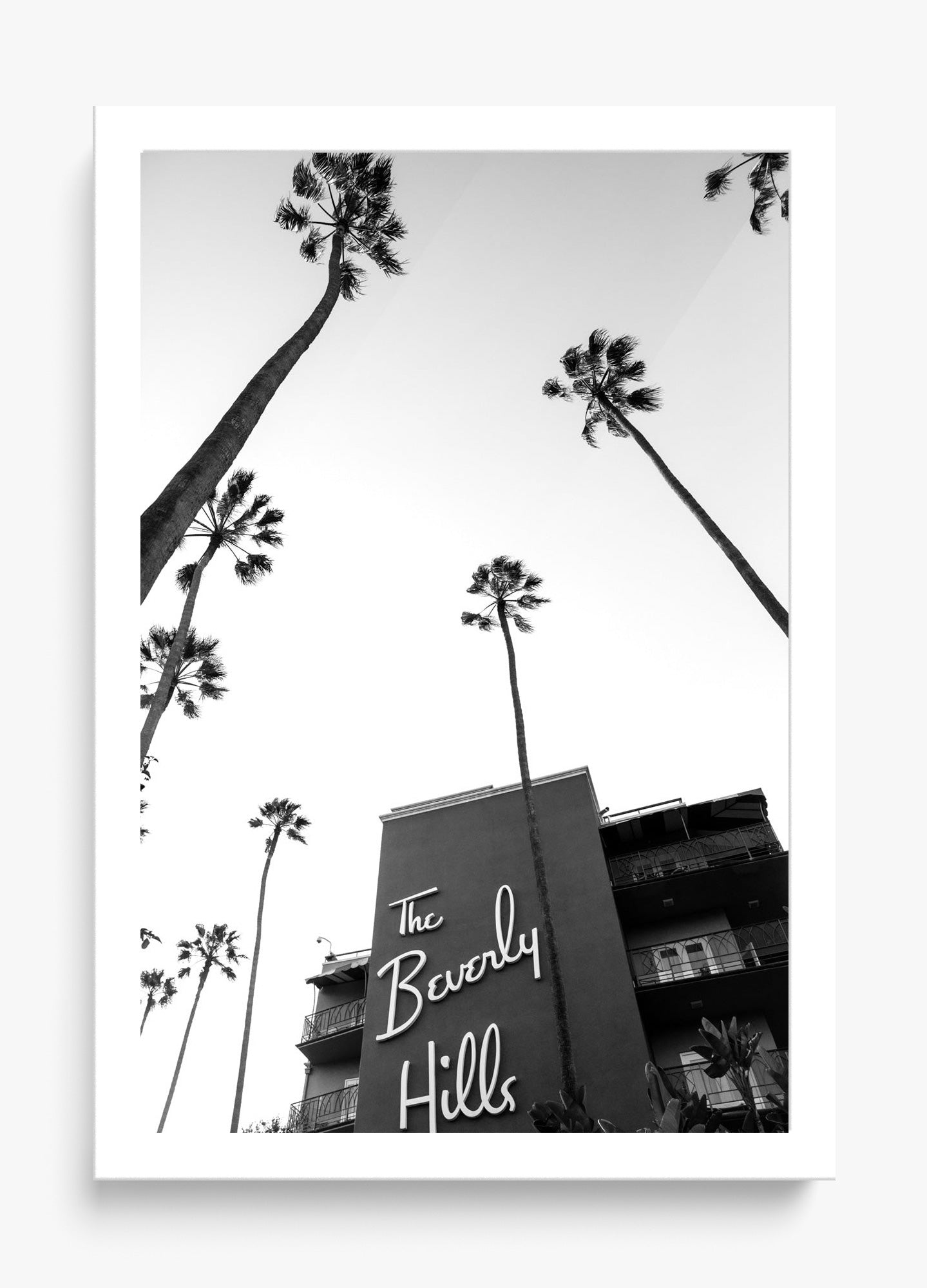 The Beverly Hills Hotel II