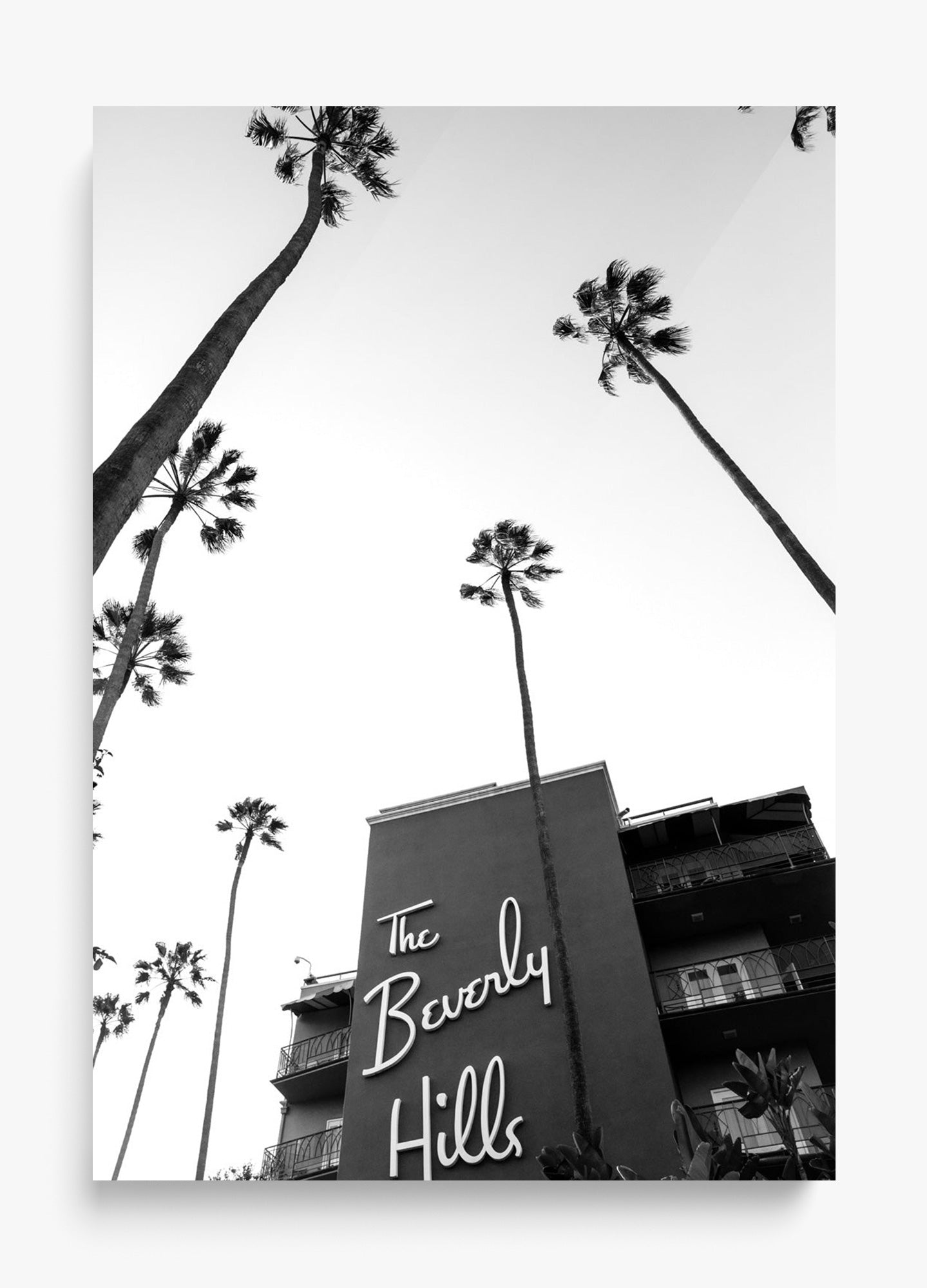 The Beverly Hills Hotel II