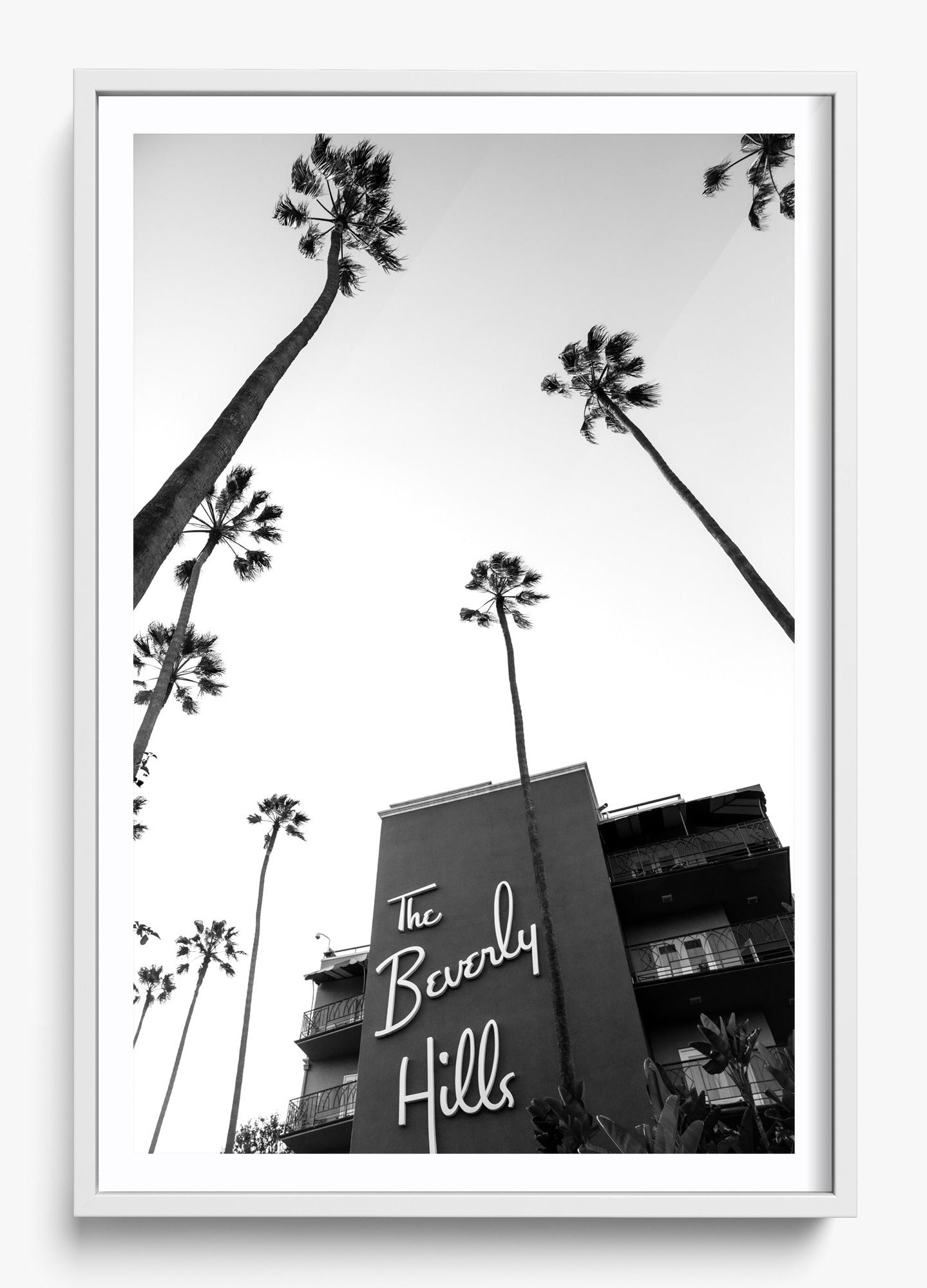 The Beverly Hills Hotel II