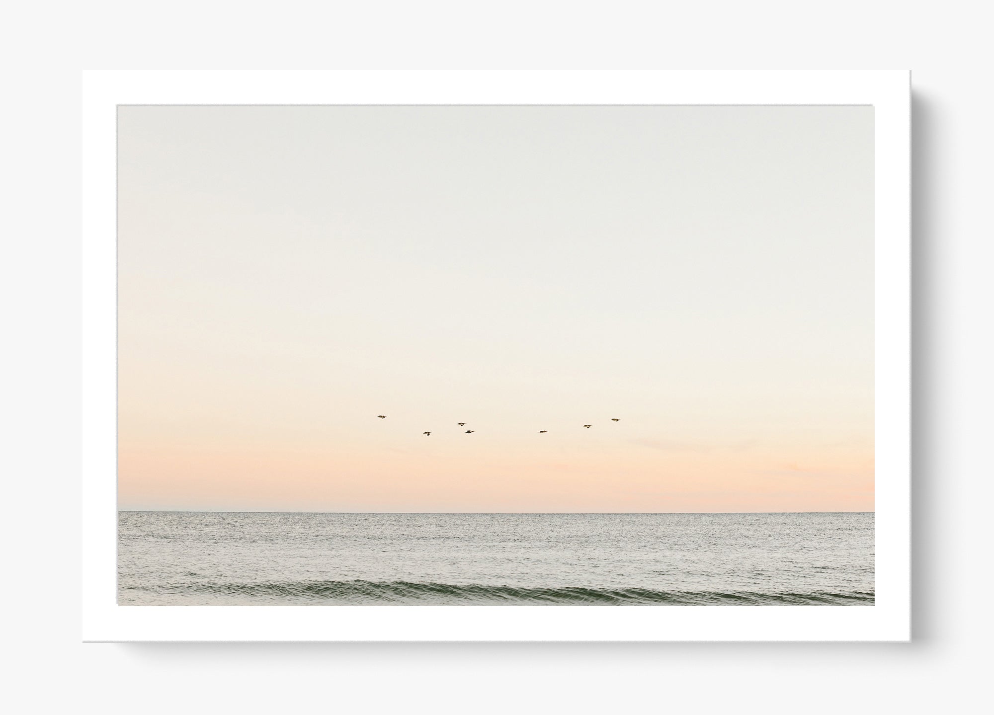 Birds At Dusk