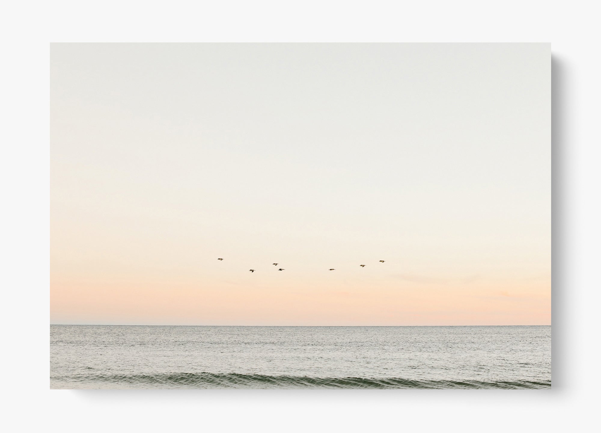 Birds At Dusk