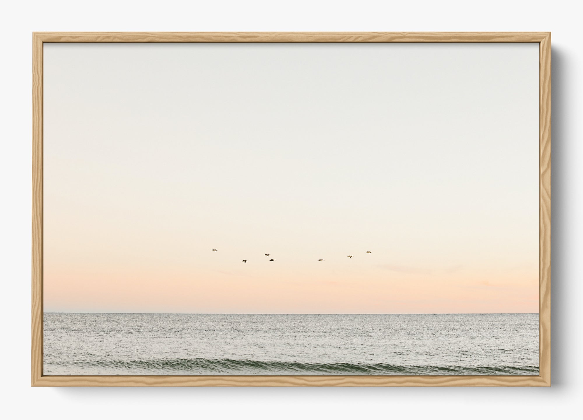 Birds At Dusk