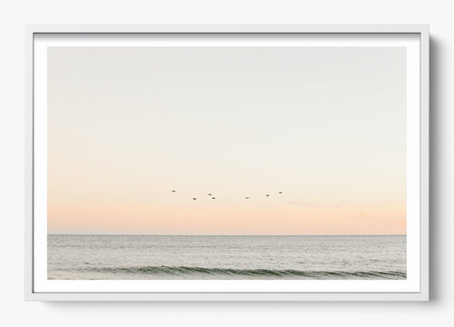 Birds At Dusk