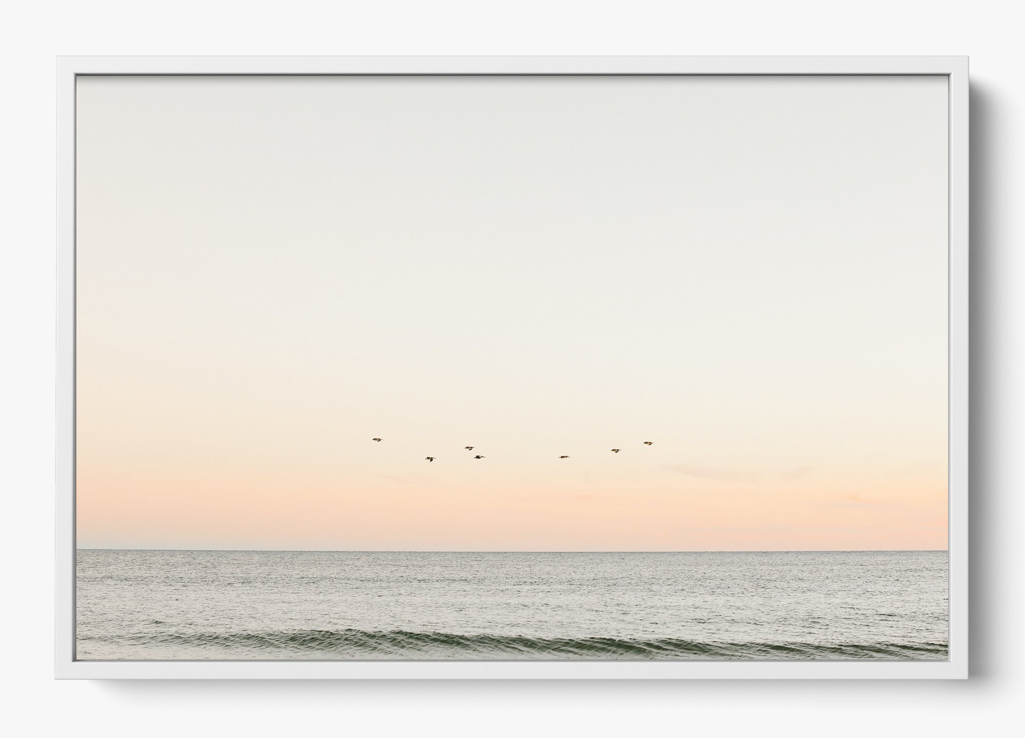 Birds At Dusk