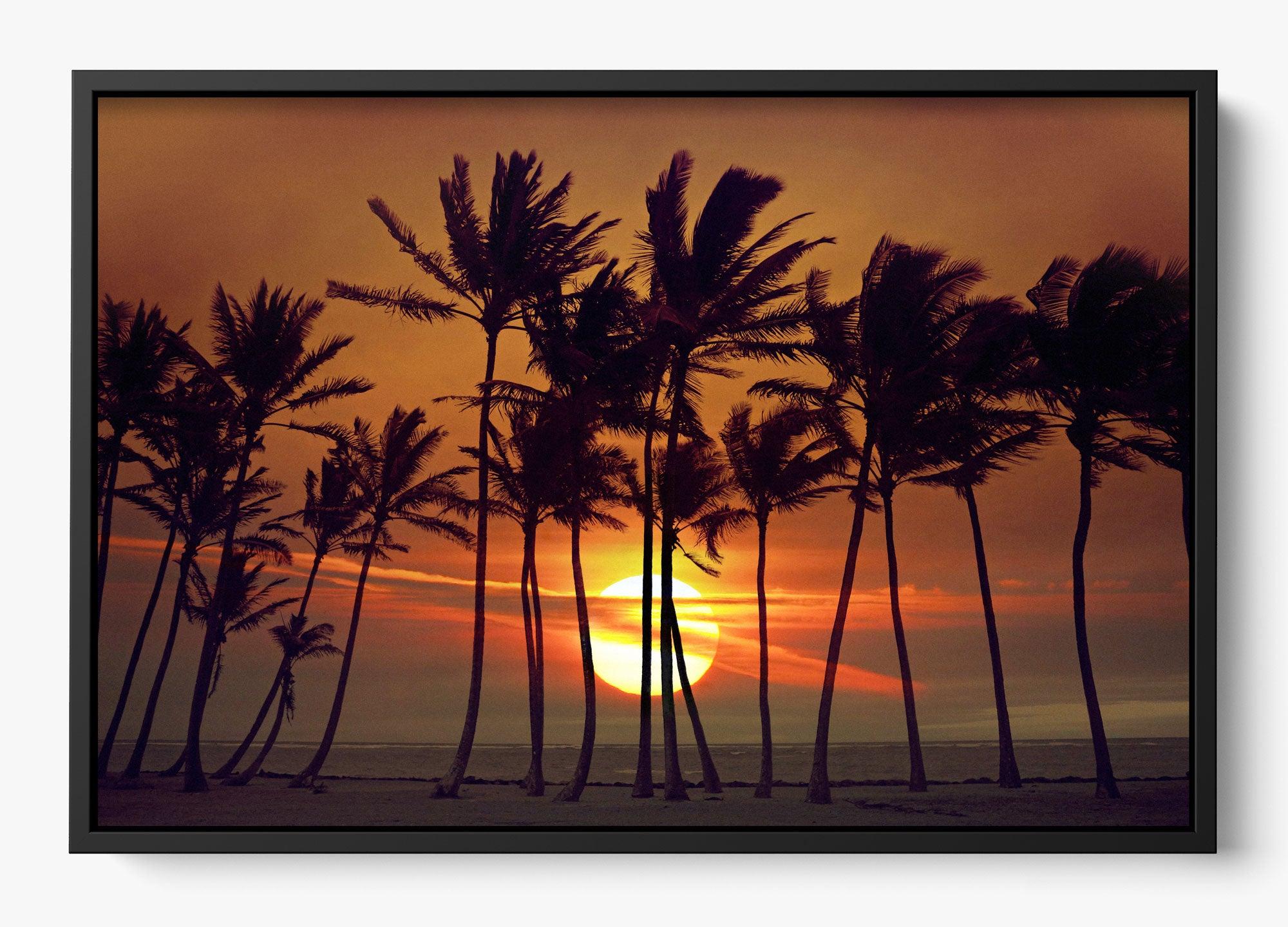Beyond The Palms