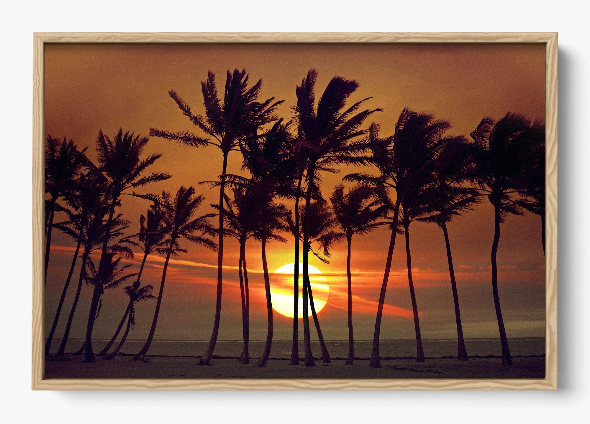 Beyond The Palms