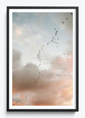 Birds Of Paradise
