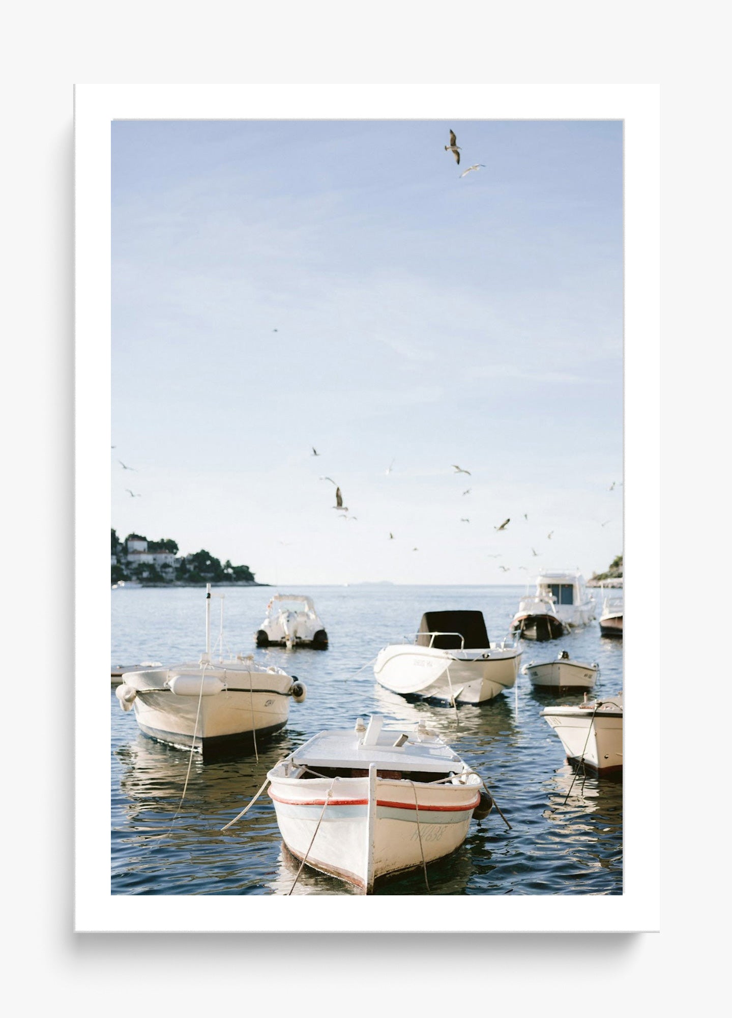 Boats Of Hvar