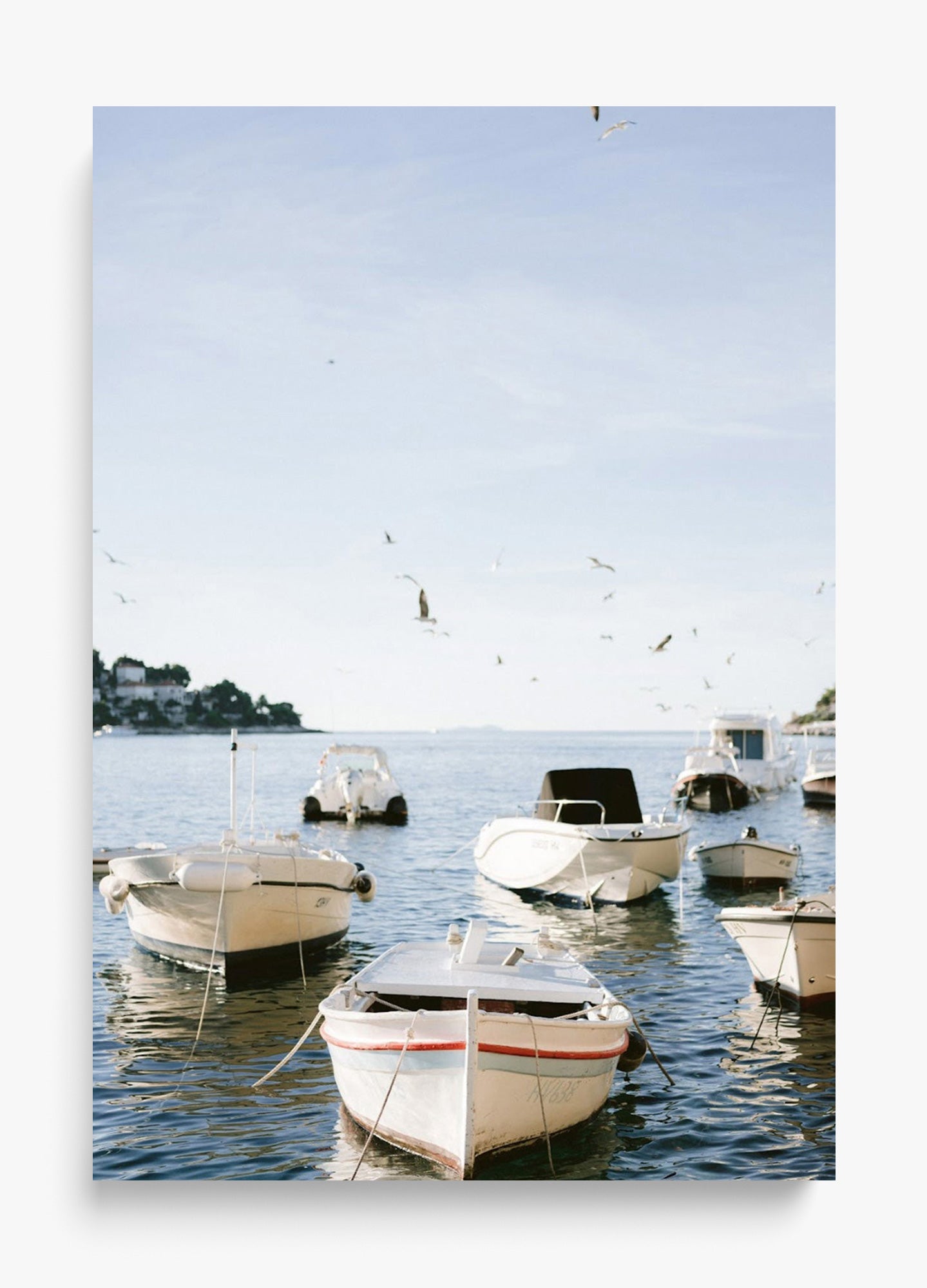 Boats Of Hvar