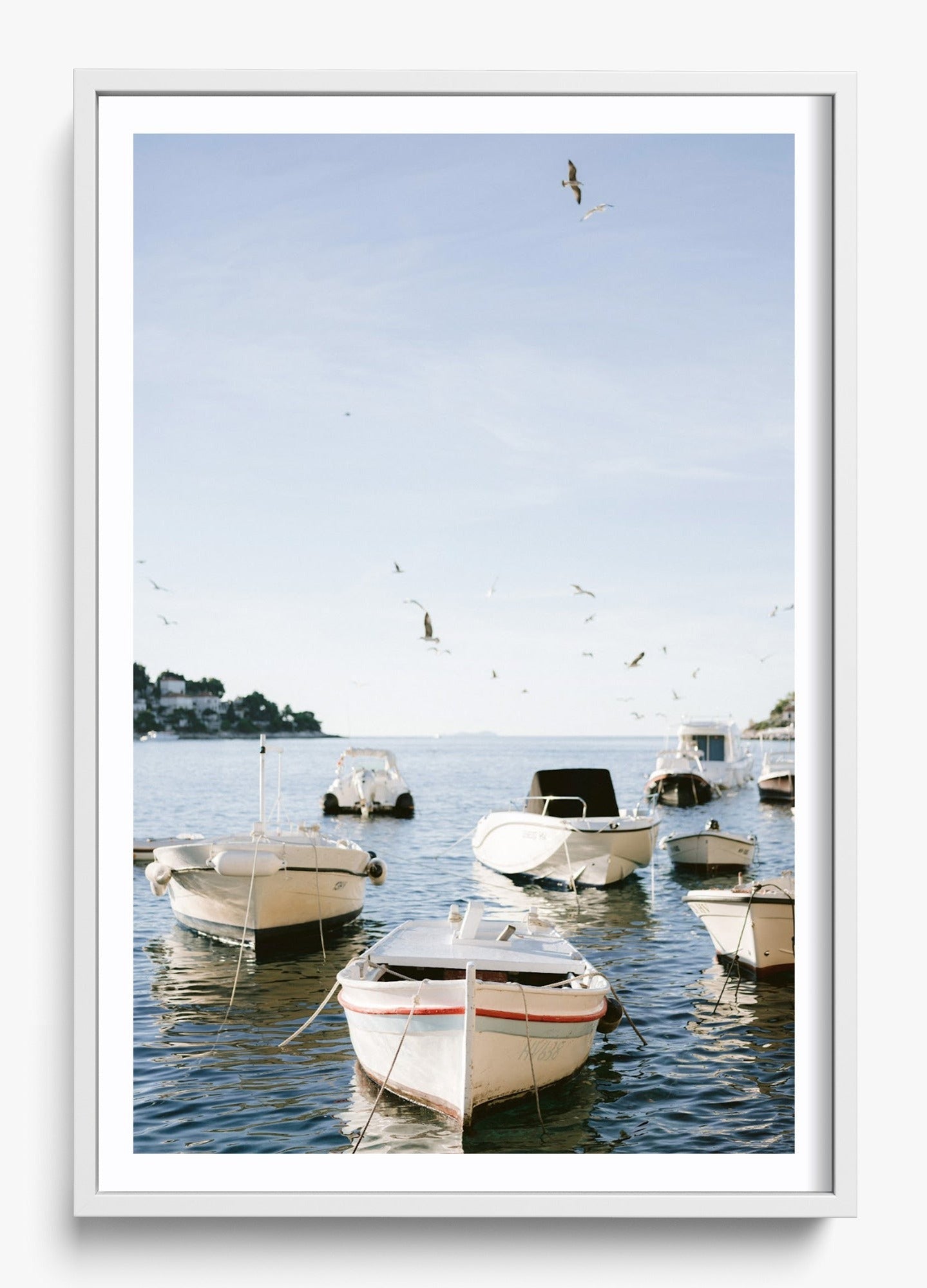 Boats Of Hvar