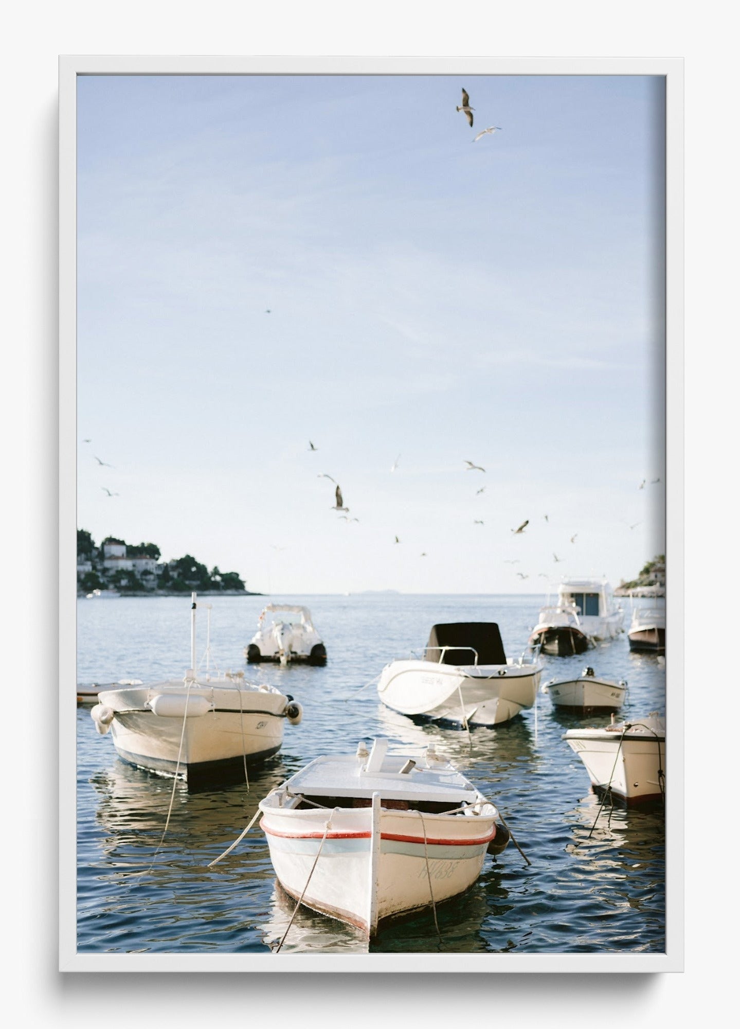 Boats Of Hvar
