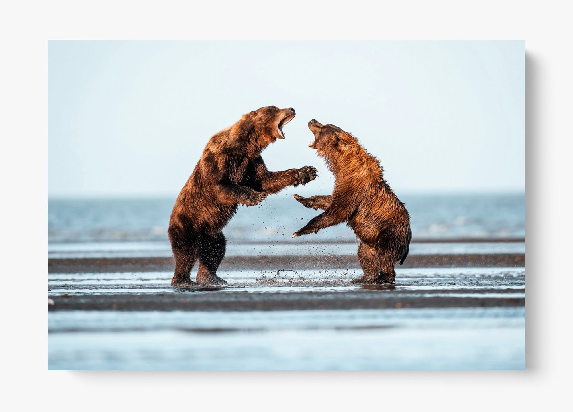 Rivalry