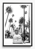 Cali Cruise