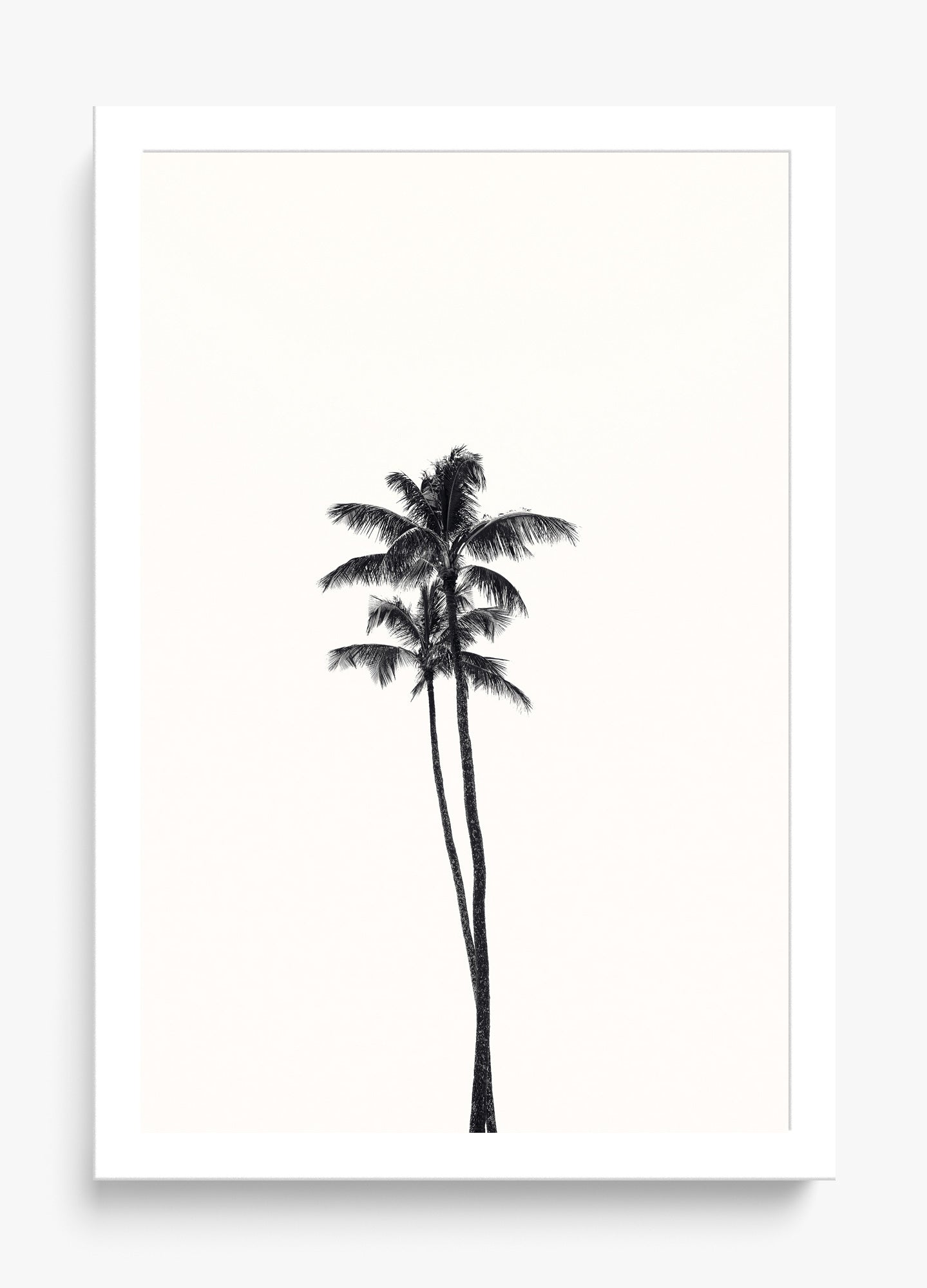 California Lovers