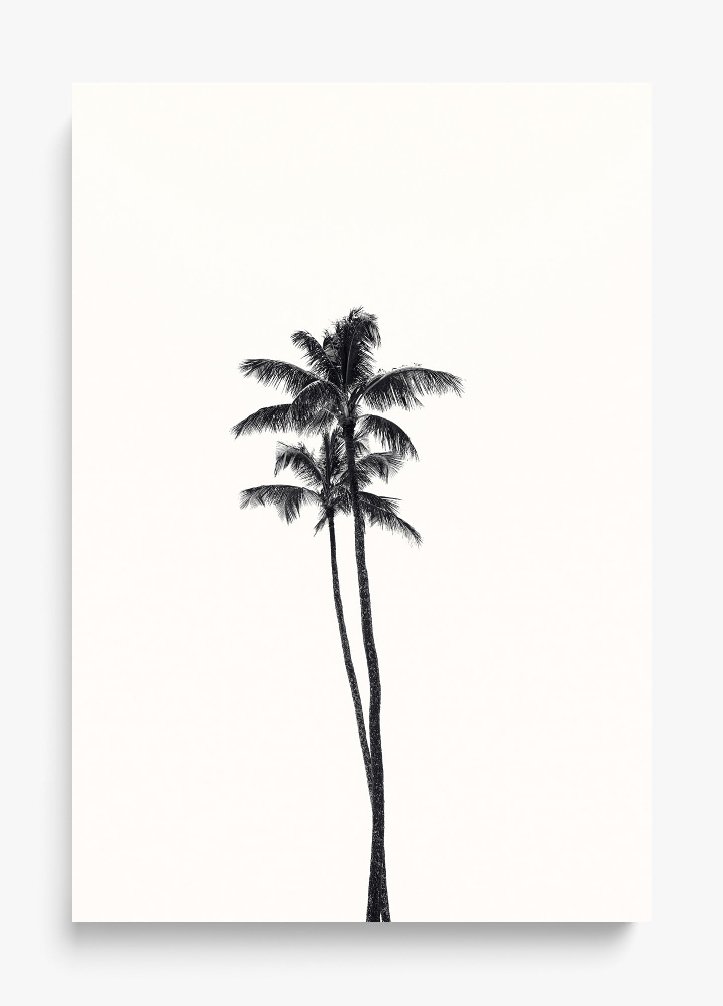 California Lovers